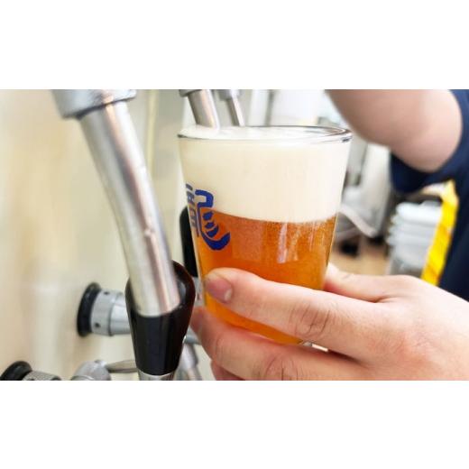 ふるさと納税 ビール 地ビール 神奈川県 横須賀市 寺（じ）ビール（定番４種、限定品２種）12本セット クラフトビール ビール 地ビール 横須賀  法龍山麦酒 A…の画像