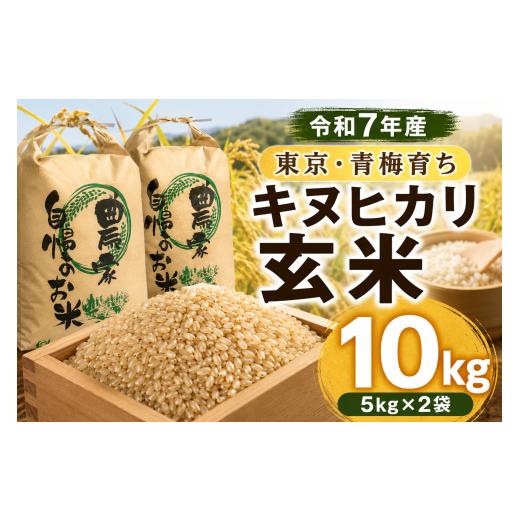 ふるさと納税 玄米 東京都 青梅市 米 令和7年度産 玄米 10kg(5kg×2) | 青梅市産 お弁当 米 お米 こめ 玄米 国産米 キヌヒカリ 精米 ご飯 主食 家庭用 自宅用 …