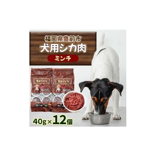 ふるさと納税 雑貨・日用品 福岡県 - 福岡県豊前市 犬用シカ生肉 ミンチ 480g(40g×12個)(福岡県) 1691470