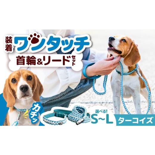 ふるさと納税 雑貨・日用品 大阪府 藤井寺市 ペット 犬の首輪&リードセット ターコイズ L / 首輪 リード 散歩 ペット用品 犬用品 ペットグッズ 散歩グッズ …
