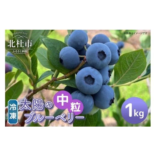 ふるさと納税 果物類 山梨県 北杜市 中粒 山梨県産(明野産)冷凍 ブルーベリー1,000g 無農薬 期間限定 数量限定 フルーツ [h290012]