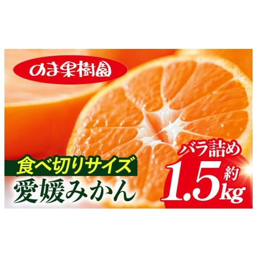 ふるさと納税 果物類 みかん 愛媛県 今治市 先行予約 愛媛みかんバラ詰め(1.5kg) K003670K1 人気商品 国産 高級フルーツ 人気商品 みかん 柑橘 フルーツ 果…