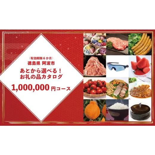 ふるさと納税 カタログ 徳島県 阿波市 オンラインで完結 ゆっくりえらべる カタログ 100万円 コース あとから選べる 鮮魚 肉 米 酒 定期便 スイーツ フルーツ…