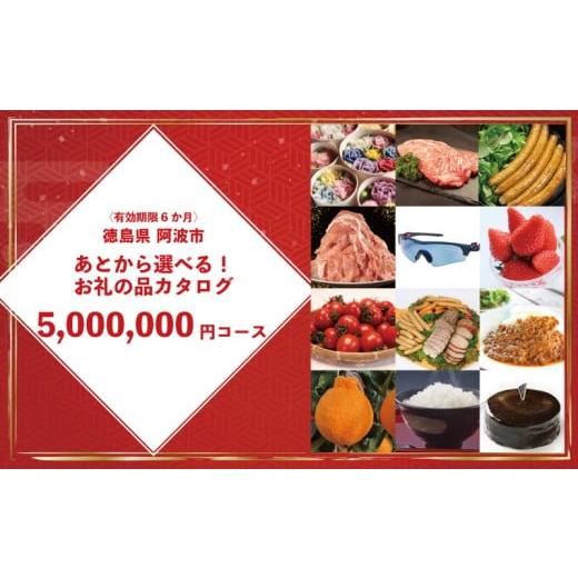 ふるさと納税 カタログ 徳島県 阿波市 オンラインで完結 ゆっくりえらべる カタログ 500万円 コース あとから選べる 鮮魚 肉 米 酒 定期便 スイーツ フルーツ…