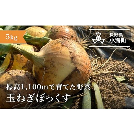 ふるさと納税 セット・詰合せ 長野県 小海町 あとくら農園 玉ねぎぼっくす５kg| 野菜 新鮮 旬 玉ねぎ 2026年発送 先行予約の画像