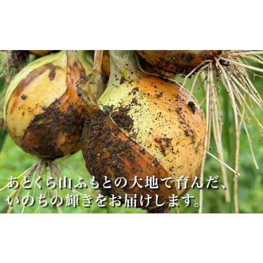 ふるさと納税 セット・詰合せ 長野県 小海町 あとくら農園 玉ねぎぼっくす５kg| 野菜 新鮮 旬 玉ねぎ 2026年発送 先行予約の画像