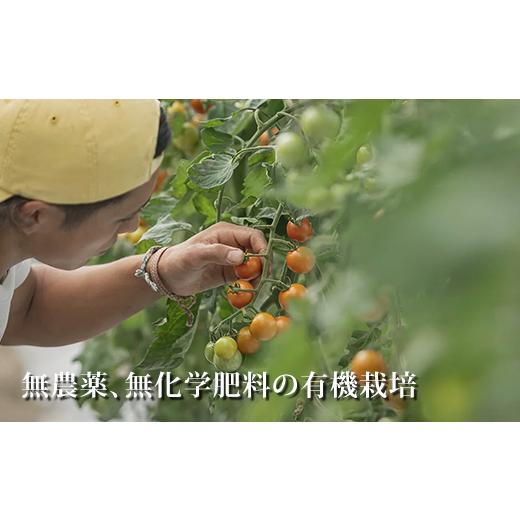 ふるさと納税 セット・詰合せ 長野県 小海町 あとくら農園 玉ねぎぼっくす５kg| 野菜 新鮮 旬 玉ねぎ 2026年発送 先行予約の画像