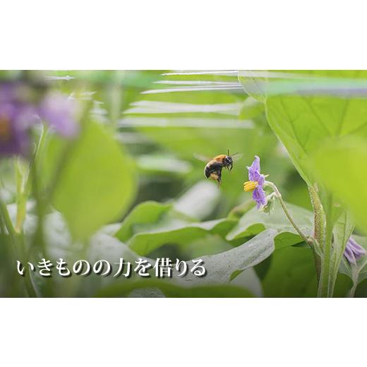 ふるさと納税 セット・詰合せ 長野県 小海町 あとくら農園 玉ねぎぼっくす５kg| 野菜 新鮮 旬 玉ねぎ 2026年発送 先行予約の画像