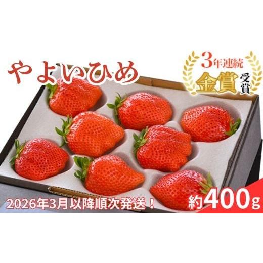 ふるさと納税 いちご 群馬県 玉村町 群馬県やよいひめ(いちご)約400g 3年連続金賞受賞 2026年3月〜5月 順次発送予定