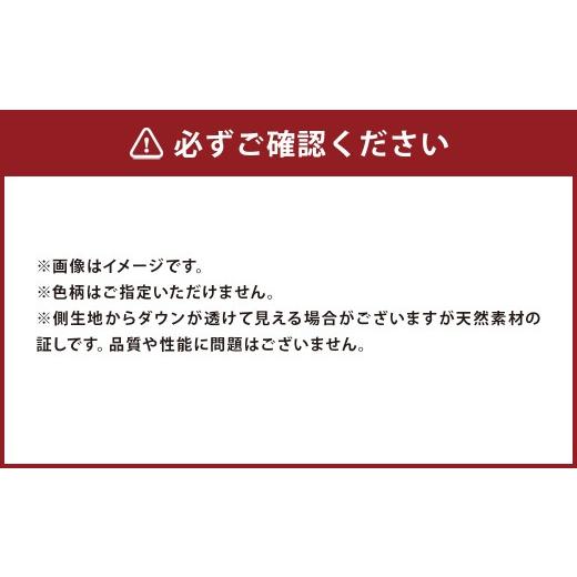 ふるさと納税 タオル・寝具 福岡県 筑後市 羽毛 専門工場 直送 国産 羽毛ふとん ダックダウン 70% 1.0kg 防臭加工 色柄おまかせ 洗える羽毛ふとん 収納 ケース…_5