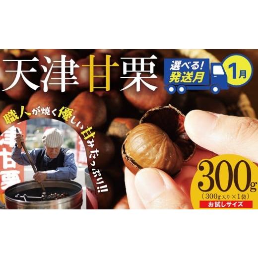 ふるさと納税 果物類 栗 愛知県 碧南市 [2026年1月発送] お試し この道50年の職人が焼く、やさしい甘みたっぷりの「天津甘栗」300g 焼きたて 栗 くり 栗爪 …
