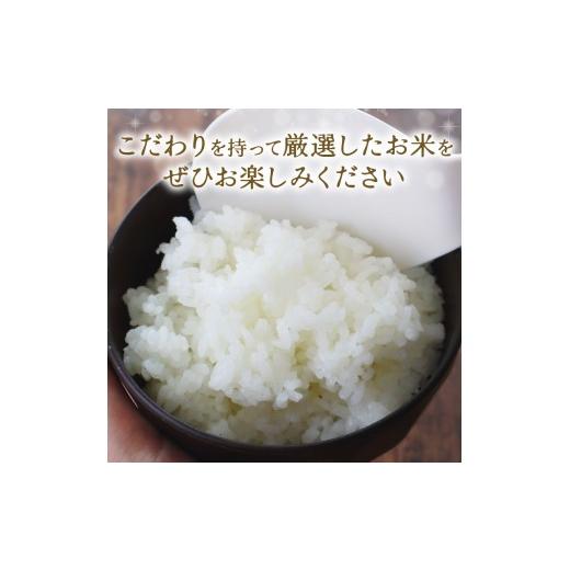 ふるさと納税 玄米 千葉県 旭市 令和7年産 米 幽学の里米 ミルキークイーン 20kg 精米 国産 千葉県産ミルキークイーン 炊飯 おにぎり お米 おこめ 白米 コメ …_5