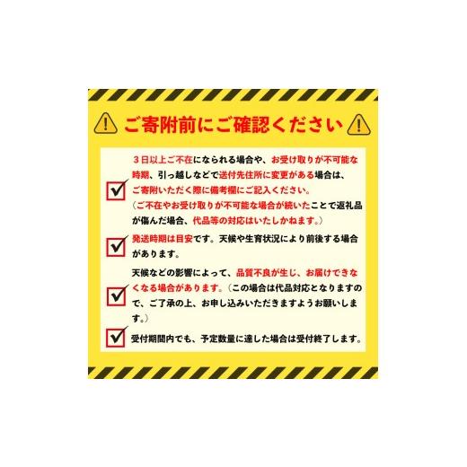 ふるさと納税 玄米 千葉県 旭市 令和7年産 米 幽学の里米 ミルキークイーン 20kg 精米 国産 千葉県産ミルキークイーン 炊飯 おにぎり お米 おこめ 白米 コメ …_6