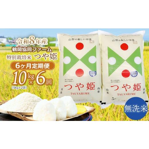 つや姫 無洗米 10kg 令和8年1月精米 ふるさと納税 無洗米 山形県 鶴岡市 令和8年産先行予約 特別栽培米つや