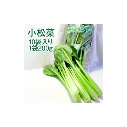 ふるさと納税 野菜類 静岡県 浜松市 小松菜 10袋入り 1袋200g 約2kg 配送不可:離島 こまつな こまつ菜 サラダ 野菜 おひたし 静岡 浜松市  
