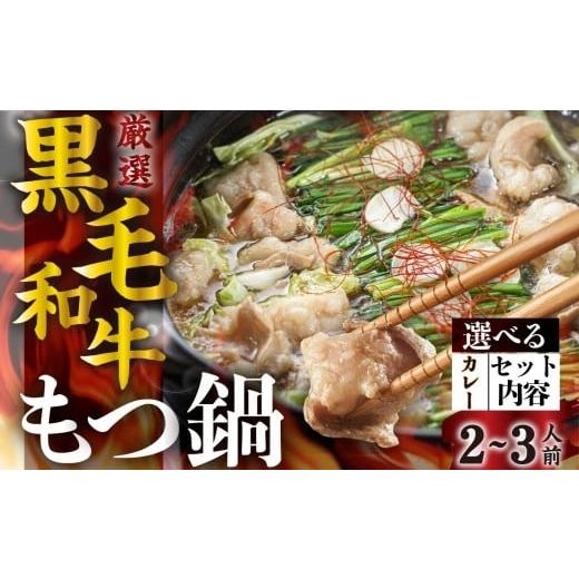 ふるさと納税 モツ鍋 岐阜県 飛騨市 1月発送 [簡易包装]飛騨産 黒毛和牛 もつ鍋セット(2-3人前) ●選べるスープ( カレー ) 鍋の素 牛肉 肉 鍋 なべ モツ も…