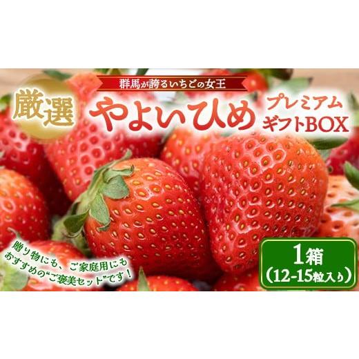 ふるさと納税 いちご 群馬県 伊勢崎市 厳選 やよいひめ プレミアムギフトBOX 1箱 | いちご 大粒 高糖度 果物 フルーツ 苺 イチゴ くだもの 新鮮 朝採れ 朝…