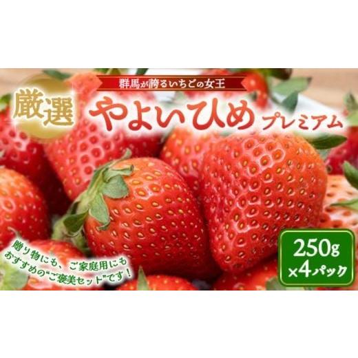 ふるさと納税 いちご 群馬県 伊勢崎市 厳選 やよいひめ プレミアム 4パック | いちご 大粒 高糖度 果物 フルーツ 苺 イチゴ くだもの 新鮮 朝採れ 朝どれ ギ…