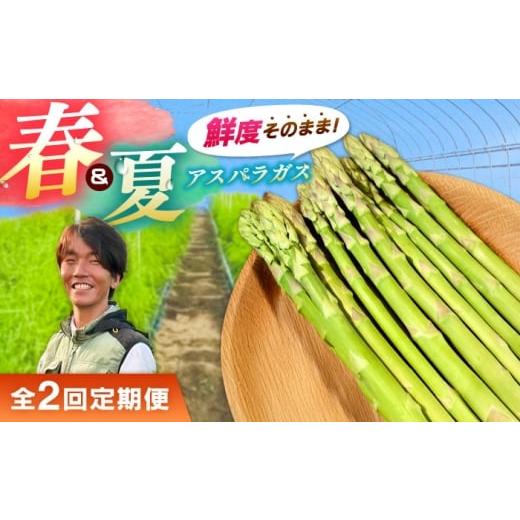 ふるさと納税 野菜類 アスパラガス 島根県 雲南市 全2回定期便 先行予約 2026年4月以降発送 春&夏アスパラガス 各1kg 島根県雲南市/tasten 野菜 アスパラ …