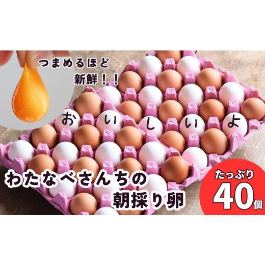 ふるさと納税 卵(鶏、烏骨鶏等) 新潟県 糸魚川市 6月前半出荷 濃厚で美味しい卵 たっぷり40個(36個+割れ補償4個) わたなべさんちの元気たまご 20個×2パッ…