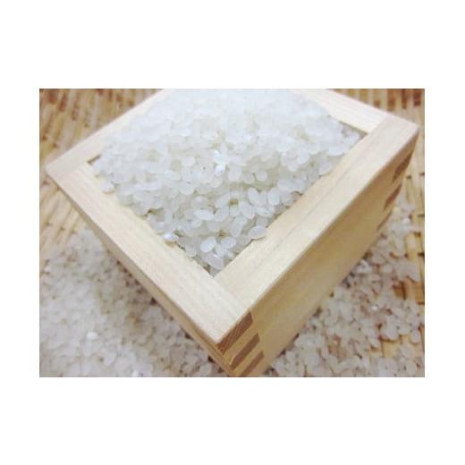 ふるさと納税 米 北海道 赤井川村 （無洗米５ｋｇ）ホクレンななつぼし ３ヶ月定期配送_2