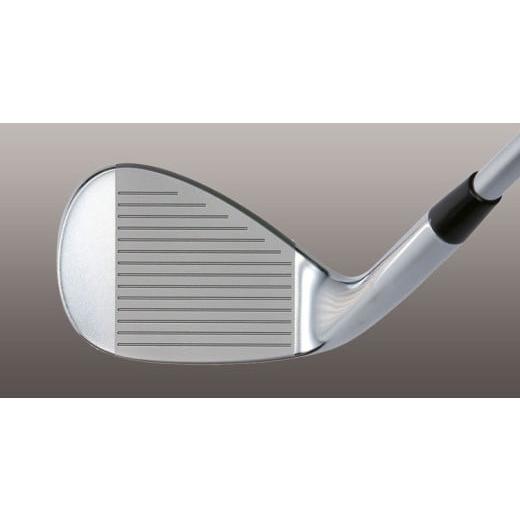 ふるさと納税 ゴルフグッズ クラブ 栃木県 鹿沼市 NSPRO 950GH neo S