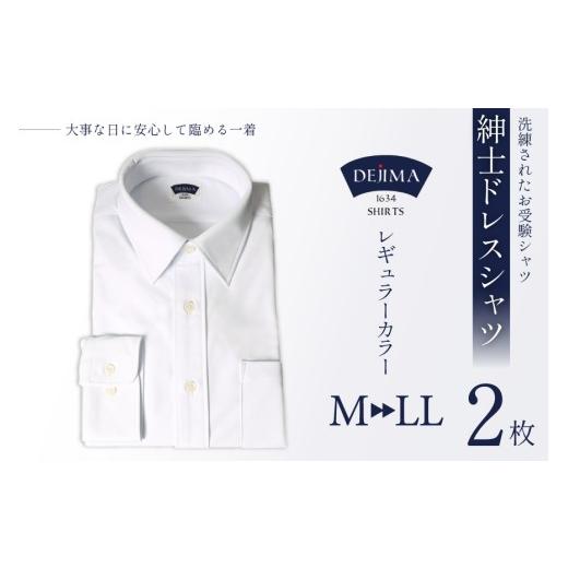 ふるさと納税 服 男 長崎県 島原市 CJ159-d Marycoco シャツ メンズ 紳士 ドレスシャツ 2枚 セット レギュラーカラータイプ DEJIMA SHIRTS LLサイズ MN-S001 …