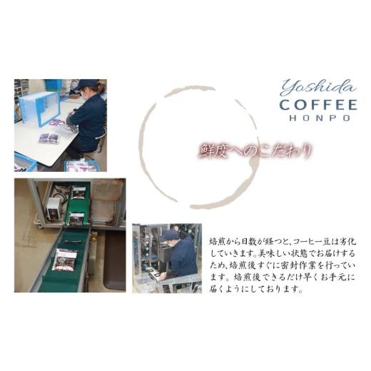ふるさと納税 コーヒー 飲料 大阪府 泉佐野市  定期便 本格カフェラテベース 無糖 600mL×12本 全3回 吉田珈琲本舗 人気 おすすめ 珈琲 コーヒー こーひー 焙…の画像