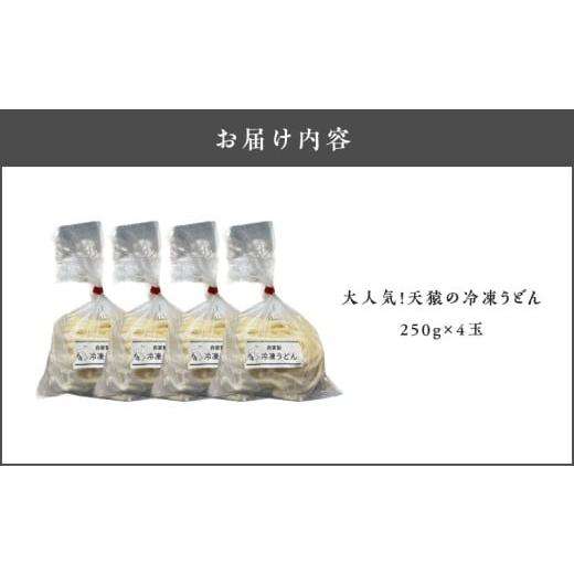 ふるさと納税 うどん 生・生涯めん 鹿児島県 隠れ無い町 大人気 天猿の凝結うどん 4玉 C075-001-01