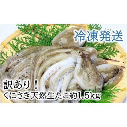 ふるさと納税 タコ 大分県 国東市 訳あり くにさき天然冷凍生たこ約1.5kg_2653R-2 訳あり くにさき天然冷凍生たこ約1.5kg