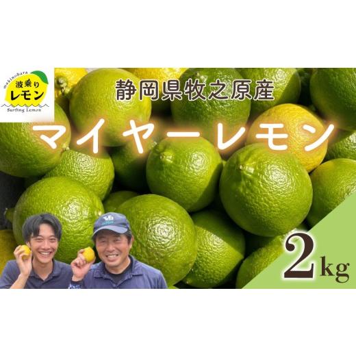 ふるさと納税 みかん・柑橘類 レモン 静岡県 牧之原市 国産 レモン 牧之原産 波乗りレモン マイヤーレモン 2kg 国産 Lemon 檸檬 柑橘類 柑橘 フルーツ 果物 …