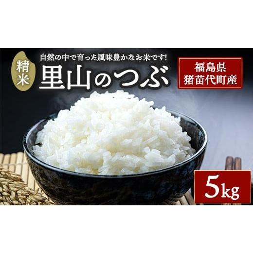 ふるさと納税 米 福島県 猪苗代町 令和7年度産 里山のつぶ 精米 5kg | 白米 新米 福島 猪苗代町直送 離島への配送不可