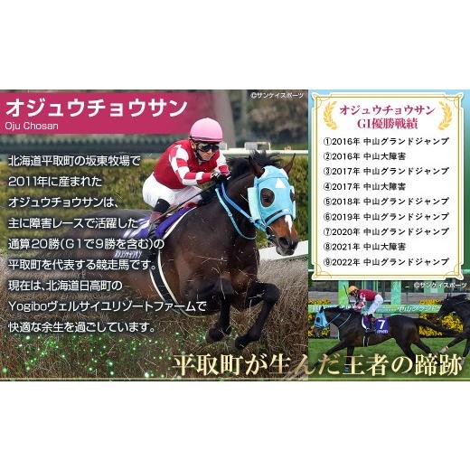 ふるさと納税 食器・グラス 北海道 平取町  オジュウチョウサン コルクコースター3枚入り ふるさと納税 人気 おすすめ ランキング 馬 競馬 競走馬 オジュウチ…_3