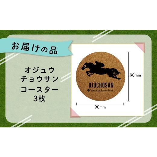 ふるさと納税 食器・グラス 北海道 平取町  オジュウチョウサン コルクコースター3枚入り ふるさと納税 人気 おすすめ ランキング 馬 競馬 競走馬 オジュウチ…_4