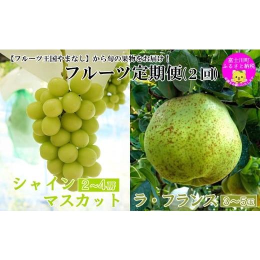 ふるさと納税 ぶどう マスカット 山梨県 富士川町 2026年発送分 やまなしフルーツ定期便(2回) 山梨おいしい果物園のシャインマスカット 1.8kg-2.0kg (2~4…