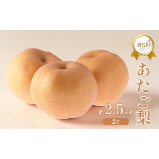 ふるさと納税 梨 岡山県 赤磐市 梨 2026年 贈答用 あたご梨 約2.5kg (2玉) フルーツ 果物 岡山 赤磐市
