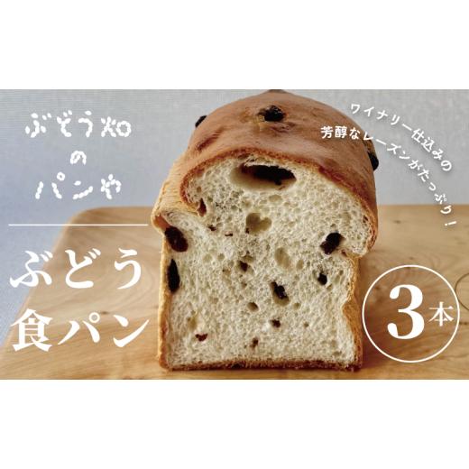 ふるさと納税 パン 食パン 京都府 宮津市 ぶどう食パン 3本 myz06 myz08 myz11 myz19