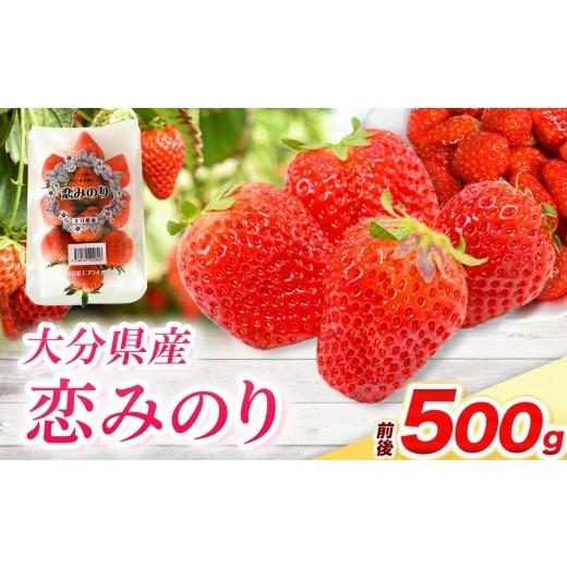 ふるさと納税 いちご 大分県 中津市 恋みのり × 2パック ( 約500g ) ( 1パック/250g前後 ) | 苺 イチゴ いちご ベリー フルーツ 果物 くだもの 大分県産 産…