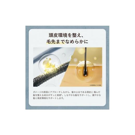 ふるさと納税 美容 福岡県 福岡市 by one sii スムース・リペア
