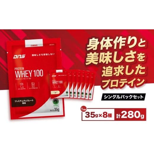 ふるさと納税 加工品等 栃木県 真岡市 DNS プロテインホエイ 100 シングル パック | プロテイン ホエイプロテイン チョコレート バニラ いちごミルク バナナオ…