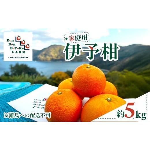 ふるさと納税 果物類 みかん 愛媛県 伊方町 先行予約 家庭用 伊予柑 約5kg | 柑橘 みかん 果物 フルーツ 愛媛県産 農家直送 離島への配送不可 2026年1月…