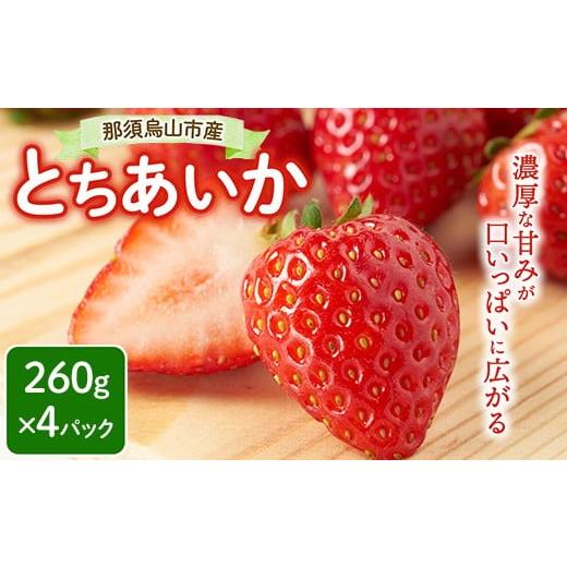 ふるさと納税 いちご 栃木県 那須烏山市 12-7 那須烏山市産 とちあいか 260g×4P | いちご イチゴ 苺 先行予約 果物 くだもの フルーツ とちあいか 新鮮 贈答…