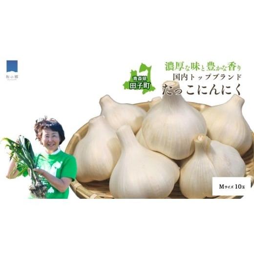 ふるさと納税 野菜類 薬味 青森県 田子町 日本一ブランドたっこにんにくMサイズ10玉(青森県田子町産にんにく)