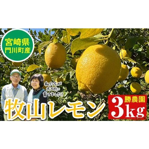 ふるさと納税 果物類 宮崎県 門川町 国産 牧山レモン(約3kg) 宮崎県 門川町産 柑橘 期間限定 檸檬 レモンサワー 生搾り ノーワックス AE-25 勝農園