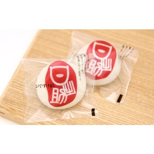 ふるさと納税 和菓子 もち菓子 福岡県 北九州市 ひですけ餅 48個入 和菓子 菓子 餅 餅菓子 もち お菓子 つぶあん スイーツ 贈り物 福岡県 北九州市_2