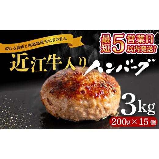 ふるさと納税 肉 滋賀県 竜王町 スピード発送 近江牛 入り ハンバーグ 200g×15個 計3kg 近江牛と淡路島の玉ねぎ使用 合い挽きハンバーグ 年内配送 冷凍 真空…