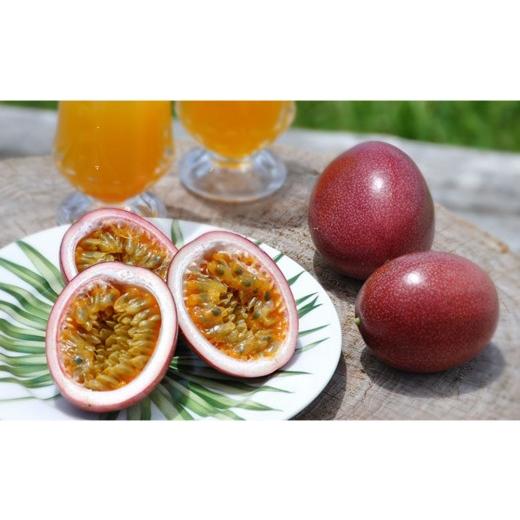 ふるさと納税 果物類 鹿児島県 瀬戸内町 2026年発送分 先行受付 パッションフルーツ 化粧箱15個入り(M玉)×2箱 たけはら農園 |果物 パッションフルーツ 酸…