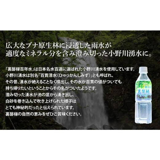 ふるさと納税 水・ミネラルウォーター 500mL〜999mL 福島県 北塩原村  3ヵ月定期便 裏磐梯百年水 ナチュラルミネラルウォーター（500ml×24本×3回） ふるさと…の画像
