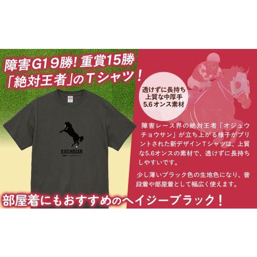 ふるさと納税 服 北海道 平取町 オジュウチョウサン Tシャツ _Mサイズ