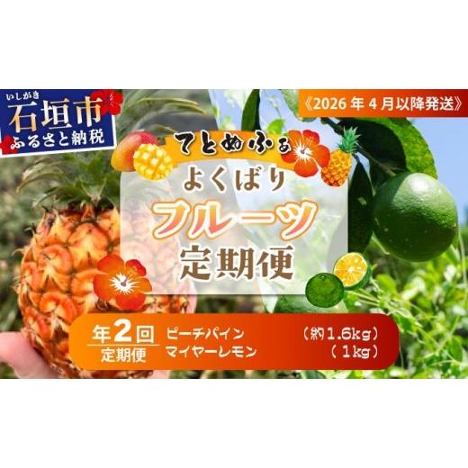 ふるさと納税 果物類 沖縄県 石垣市 定期便 よくばり定期便(ピーチパイン、マイヤーレモン)年2回